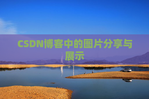 CSDN博客中的图片分享与展示